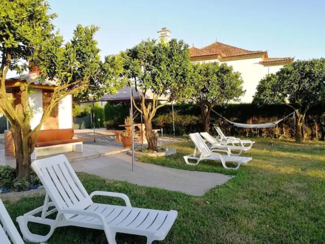 Centenaria Oiã Extérieur photo